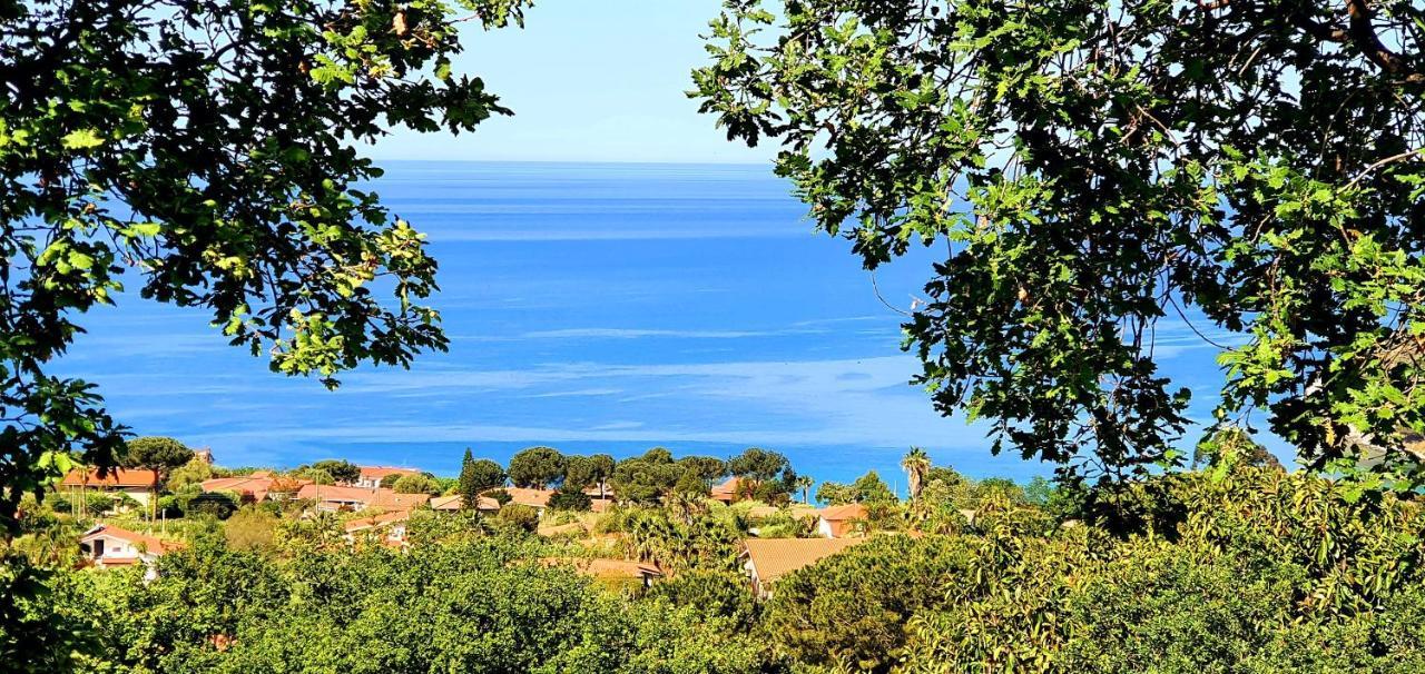 Naturamare Apartments - Piscina Idromassaggio Con Vista Mare Aperta Fino Alle Ore 22-00 Capo Vaticano Kültér fotó